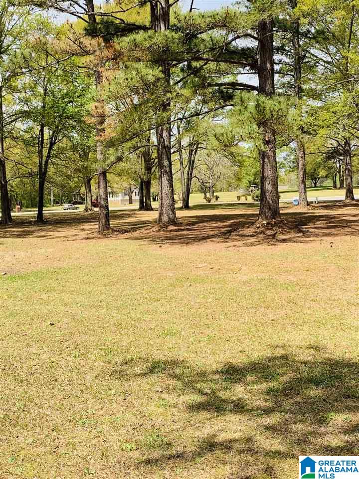 0 Carleton Point, Unit 10 Wilsonville, AL 35186 - Photo 10 of 14