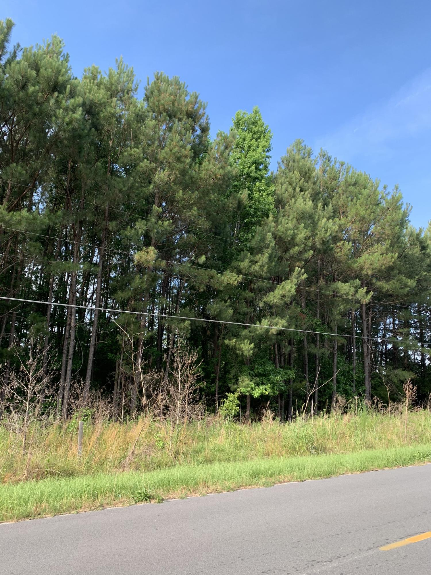 1076 Unity Road St. Stephen, SC 29479 - Photo 1 of 6 IMG_6935
