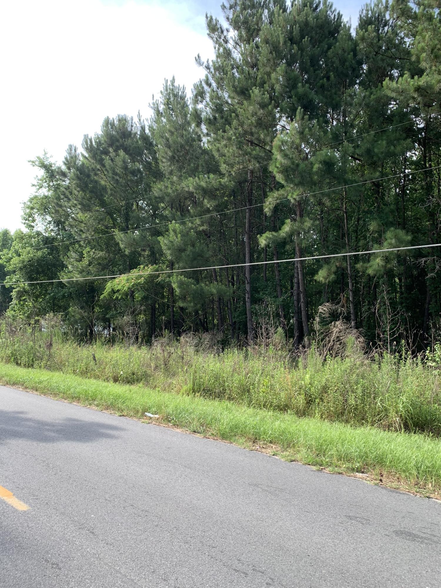 1076 Unity Road St. Stephen, SC 29479 - Photo 2 of 6 IMG_6936