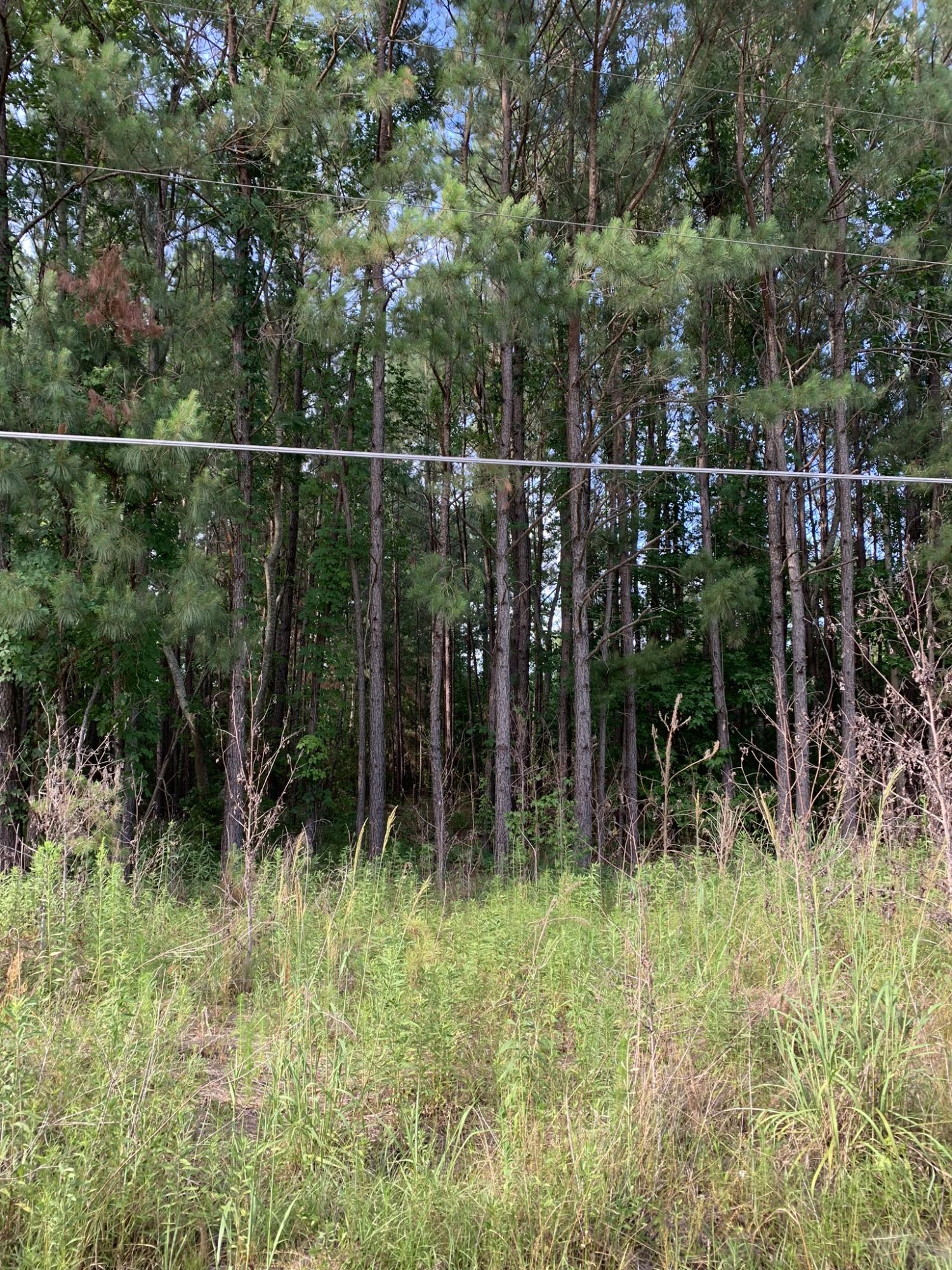 1076 Unity Road St. Stephen, SC 29479 - Photo 3 of 6 IMG_6937