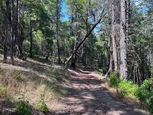 a view of outdoor space and yard
