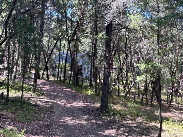 a view of outdoor space with lots of trees