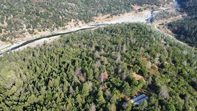 a close up of a plant