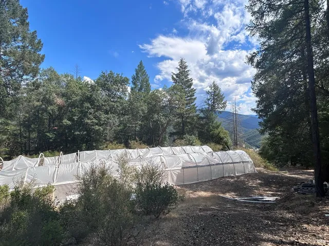 a view of a yard covered in snow