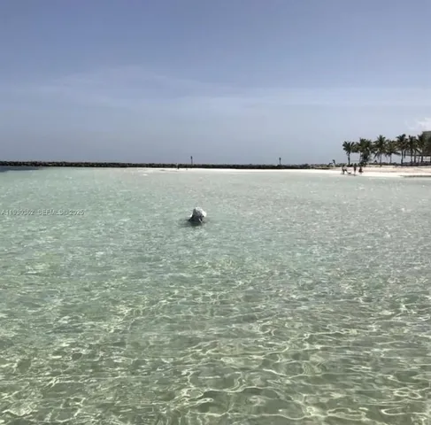 a view of a lake with a yard