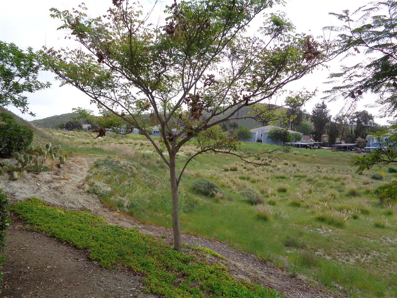 2908 Elm Tree Court Spring Valley, CA 91978 - Photo 19 of 25 Gallery Image 19