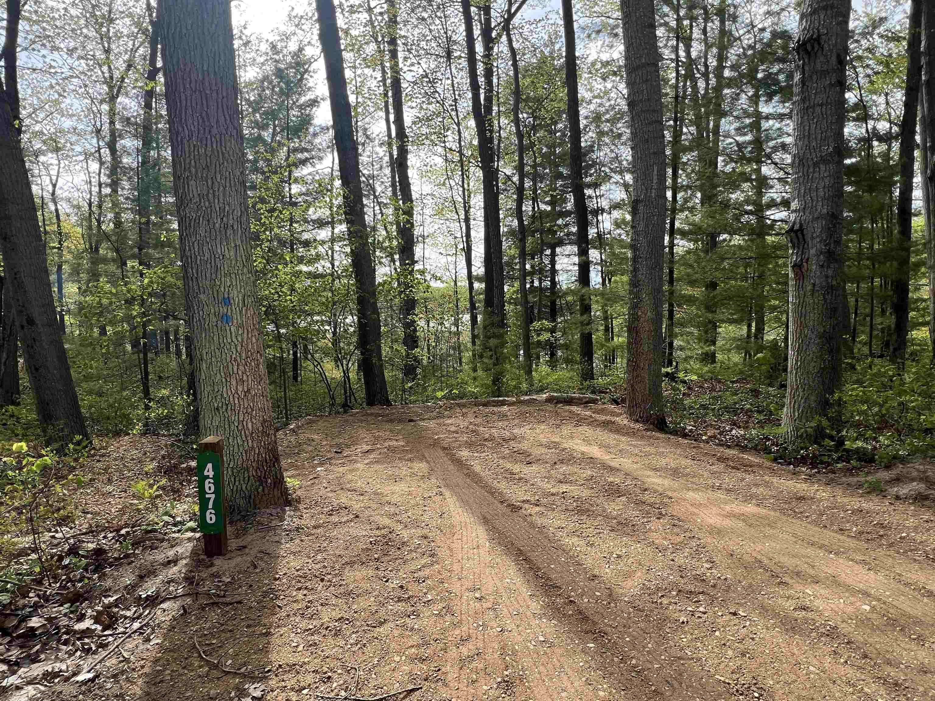 4676 Hayes Road Harrison, MI 48625 - Photo 11 of 28