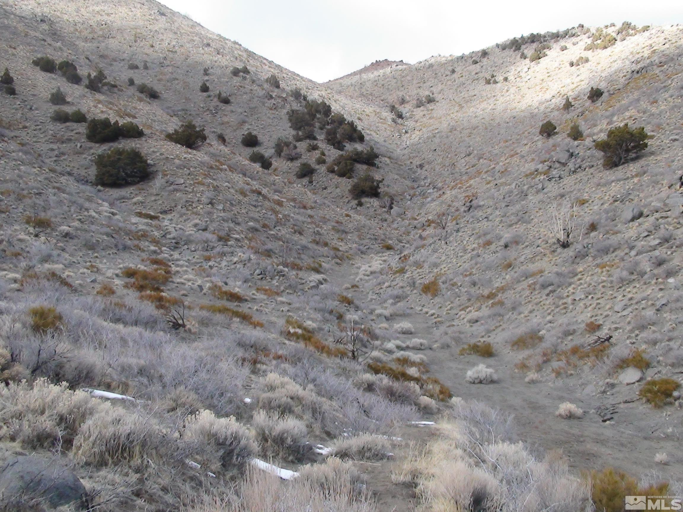 1265 Freds Mountain Road Reno, NV 89508 - Photo 11 of 40 a view of a dry field with a mountain in the background