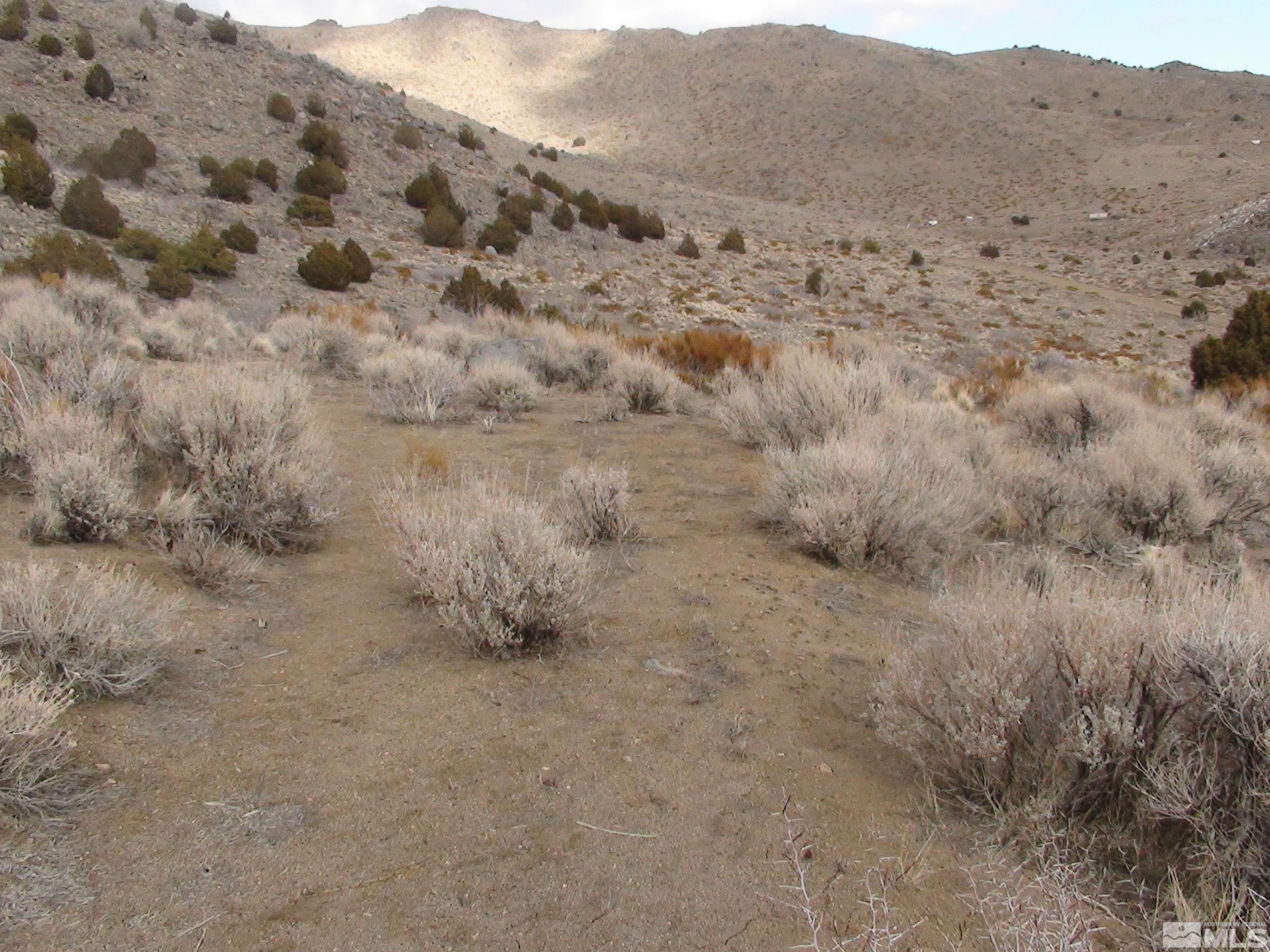1265 Freds Mountain Road Reno, NV 89508 - Photo 14 of 40 a view of mountains in the distance