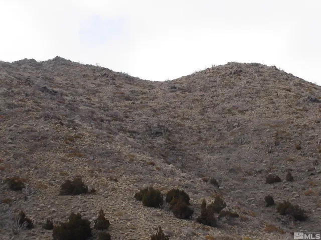 a view of a mountain in the distance in a field