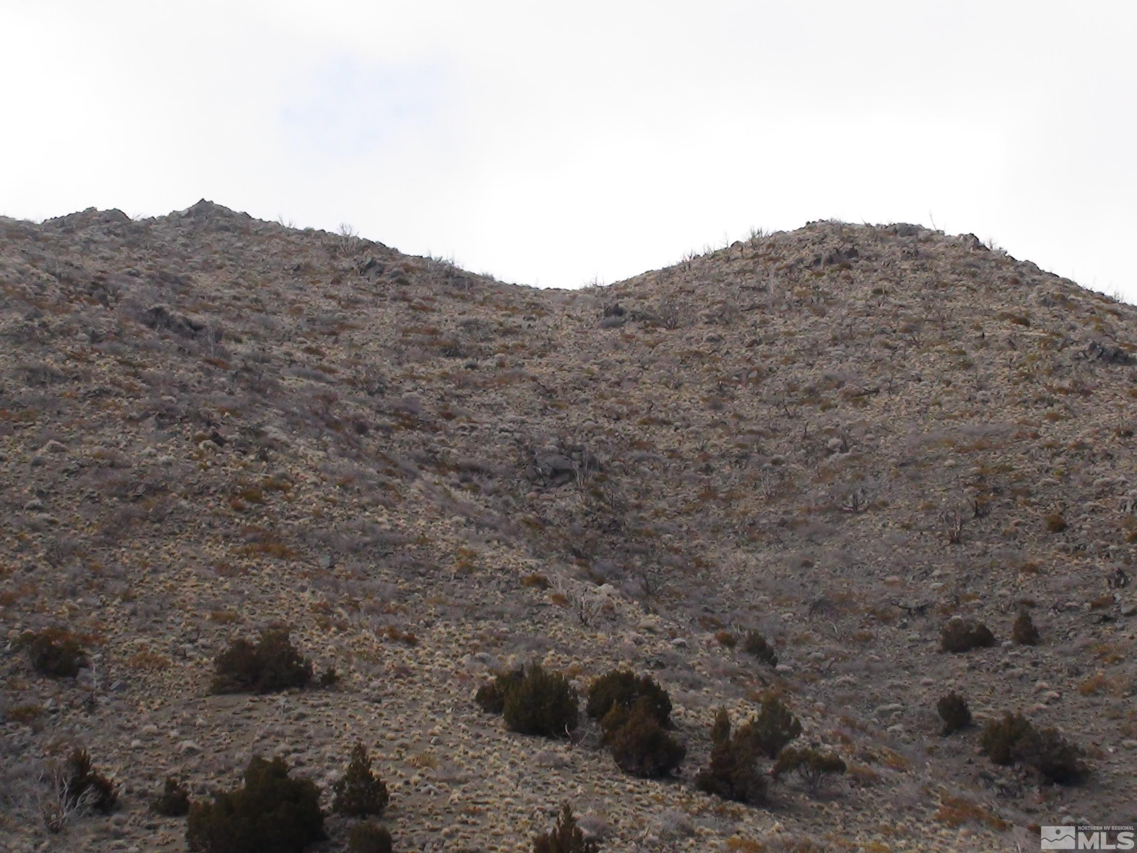 1265 Freds Mountain Road Reno, NV 89508 - Photo 15 of 40 a view of a mountain in the distance in a field