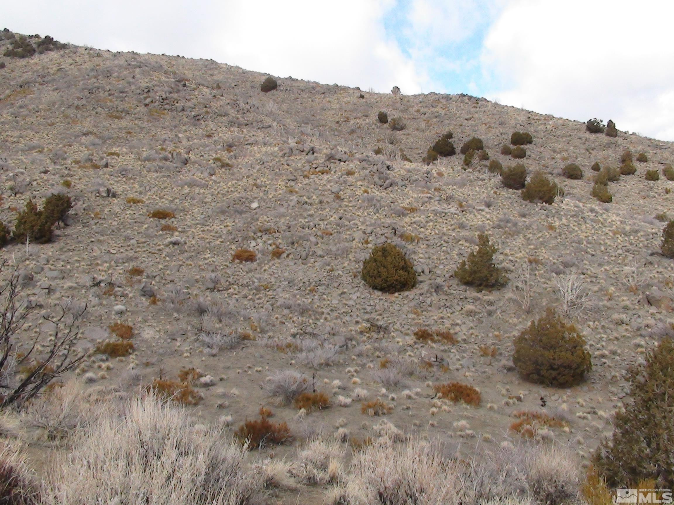 1265 Freds Mountain Road Reno, NV 89508 - Photo 16 of 40 a view of a dry field