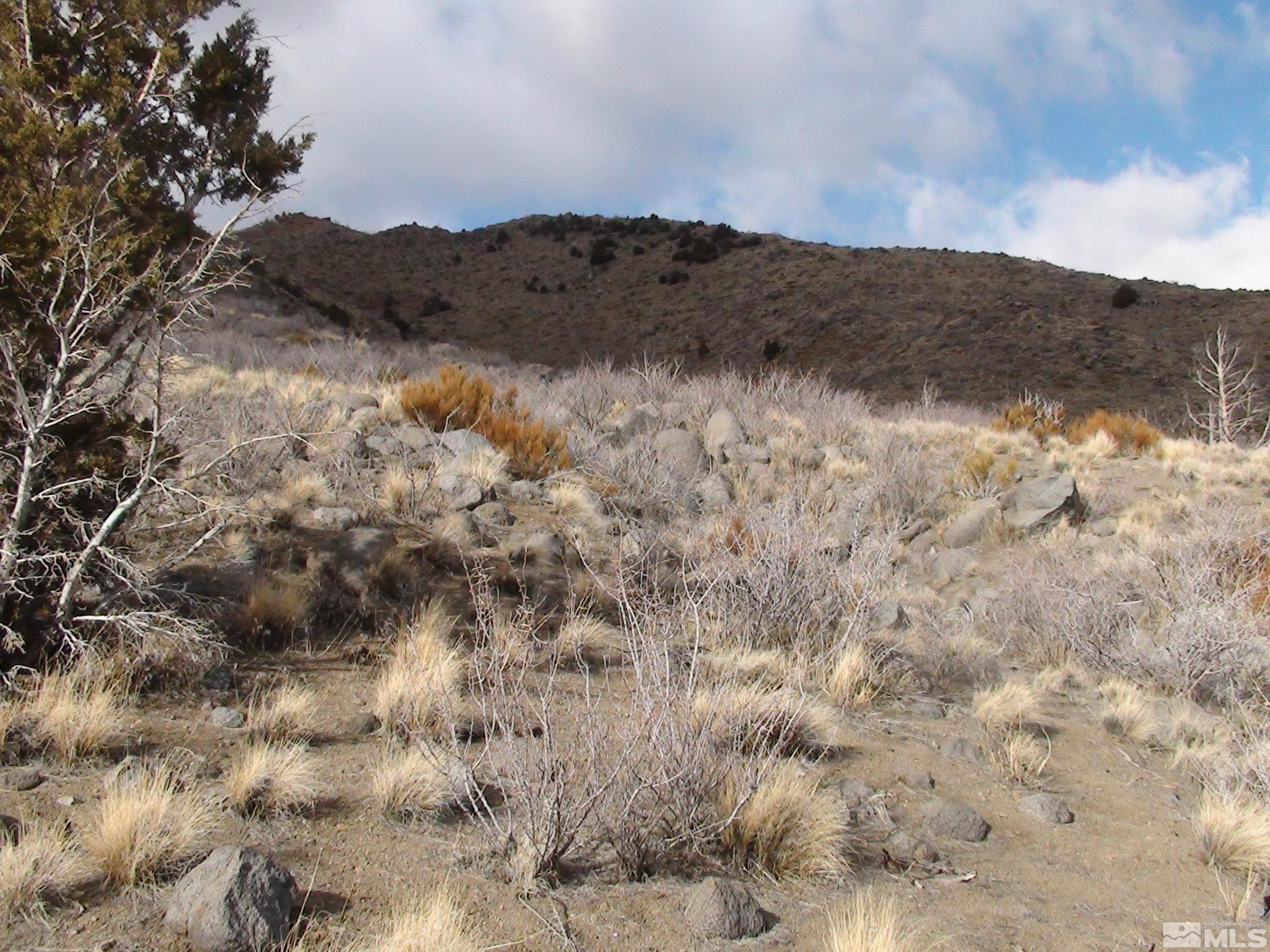 1265 Freds Mountain Road Reno, NV 89508 - Photo 17 of 40 a view of mountains and valleys