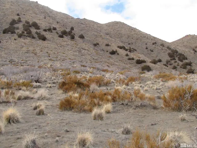 a view of a dry field