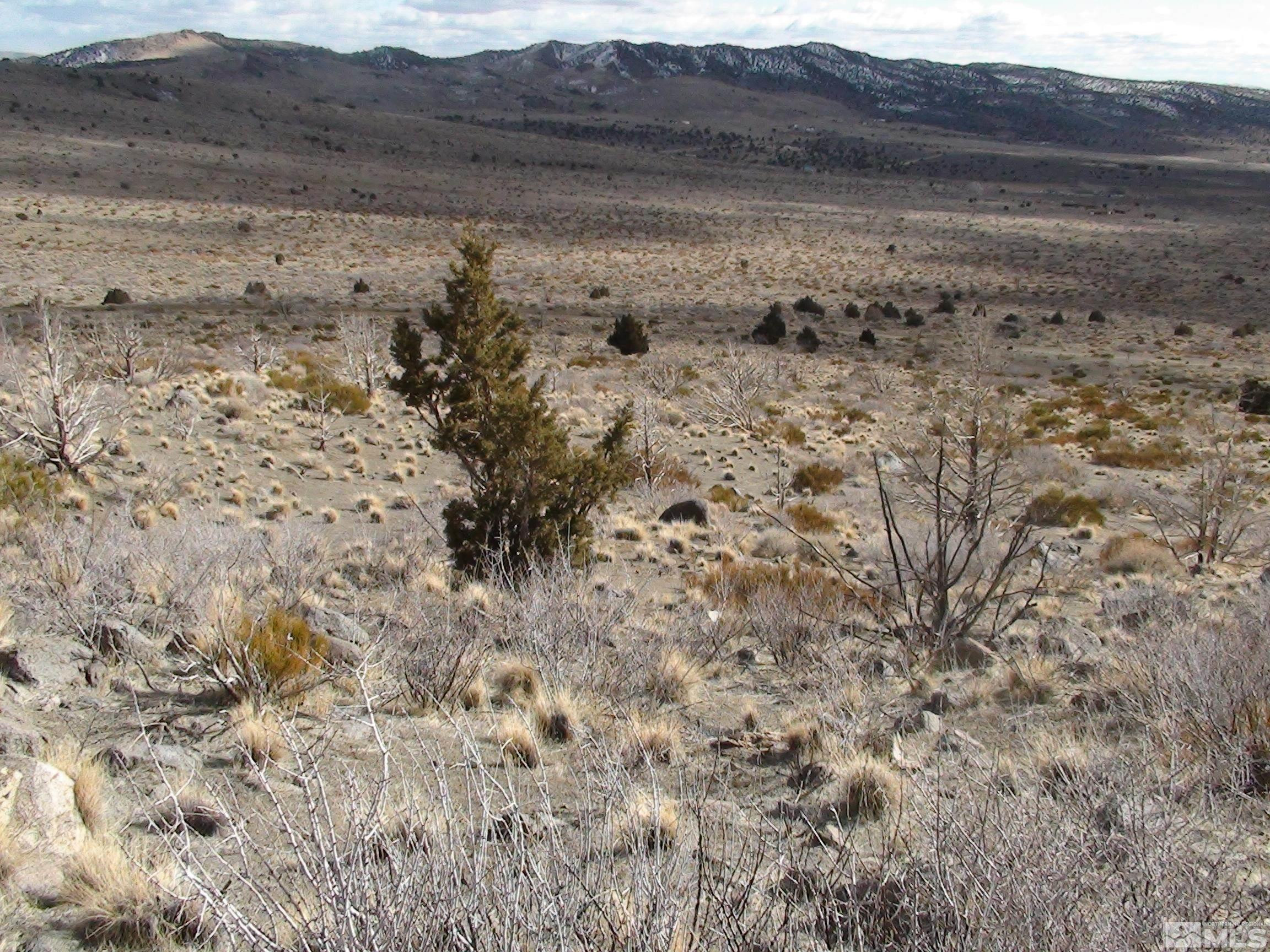 1265 Freds Mountain Road Reno, NV 89508 - Photo 19 of 40