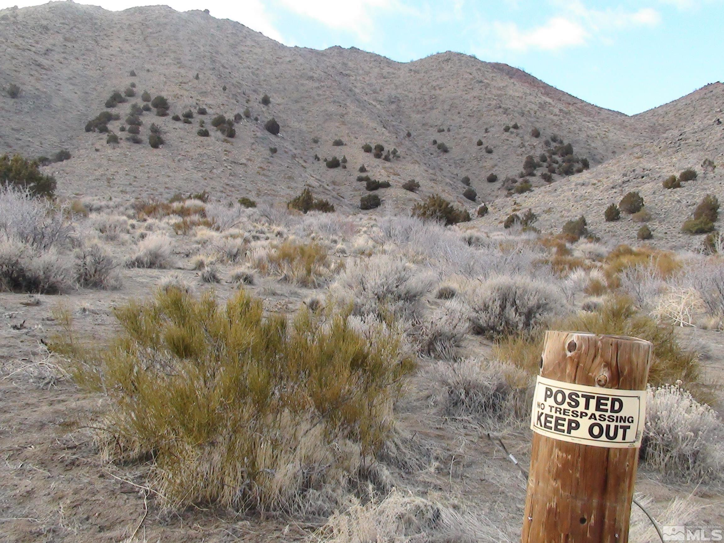 1265 Freds Mountain Road Reno, NV 89508 - Photo 2 of 40 a view of a dry yard with mountains in the background