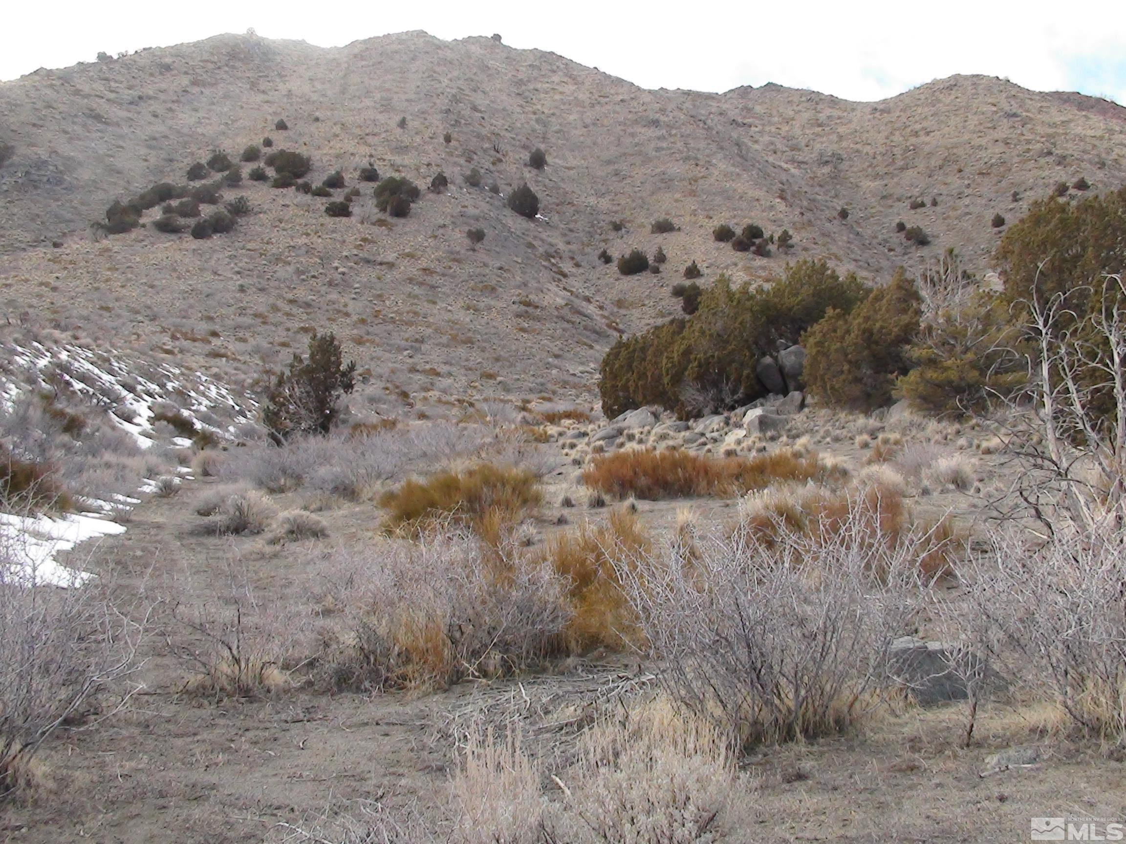 1265 Freds Mountain Road Reno, NV 89508 - Photo 21 of 40 a view of a dry field