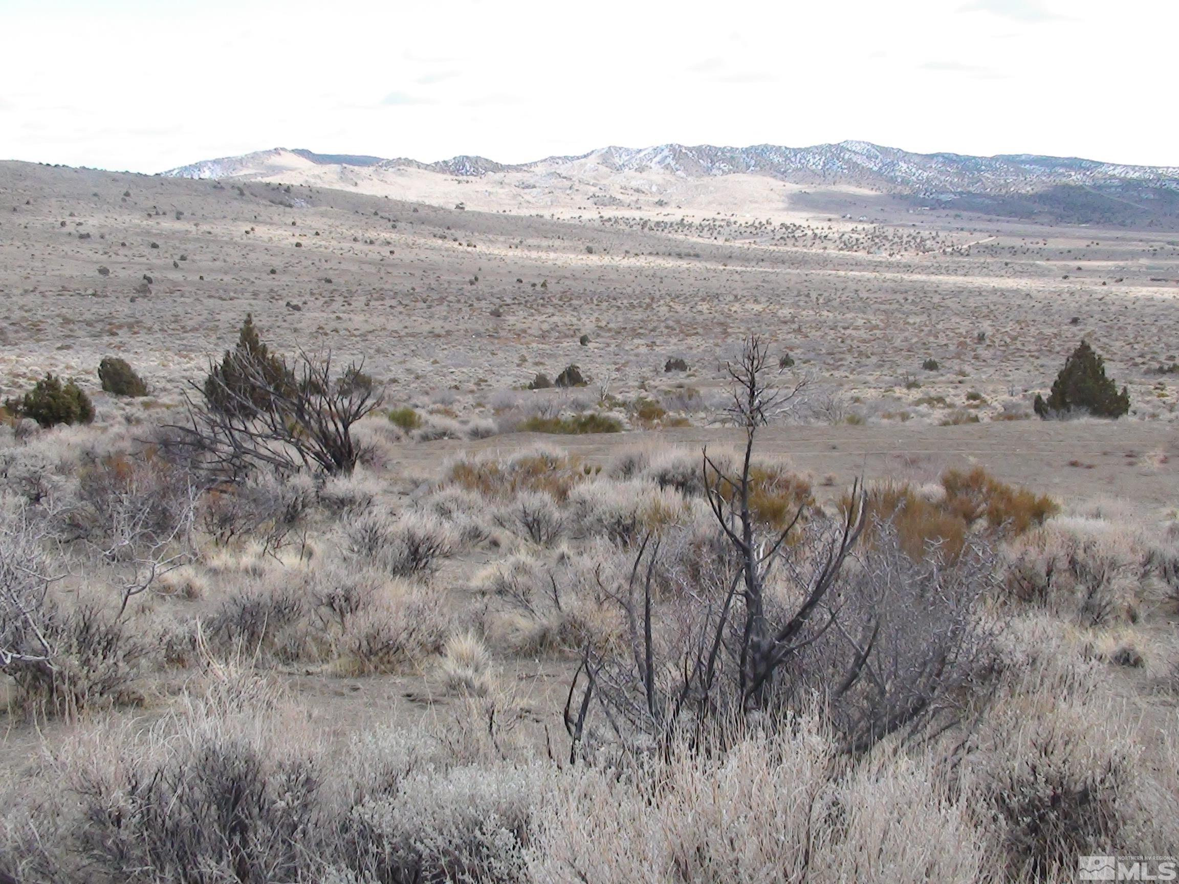1265 Freds Mountain Road Reno, NV 89508 - Photo 22 of 40 a view of mountain with beach and background