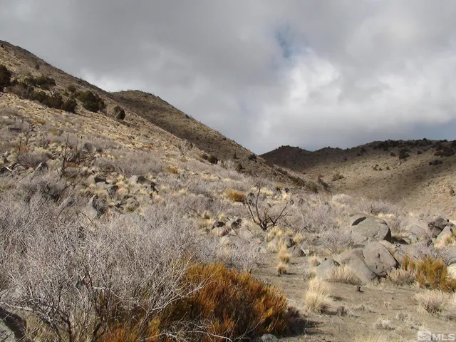 a view of a dry field