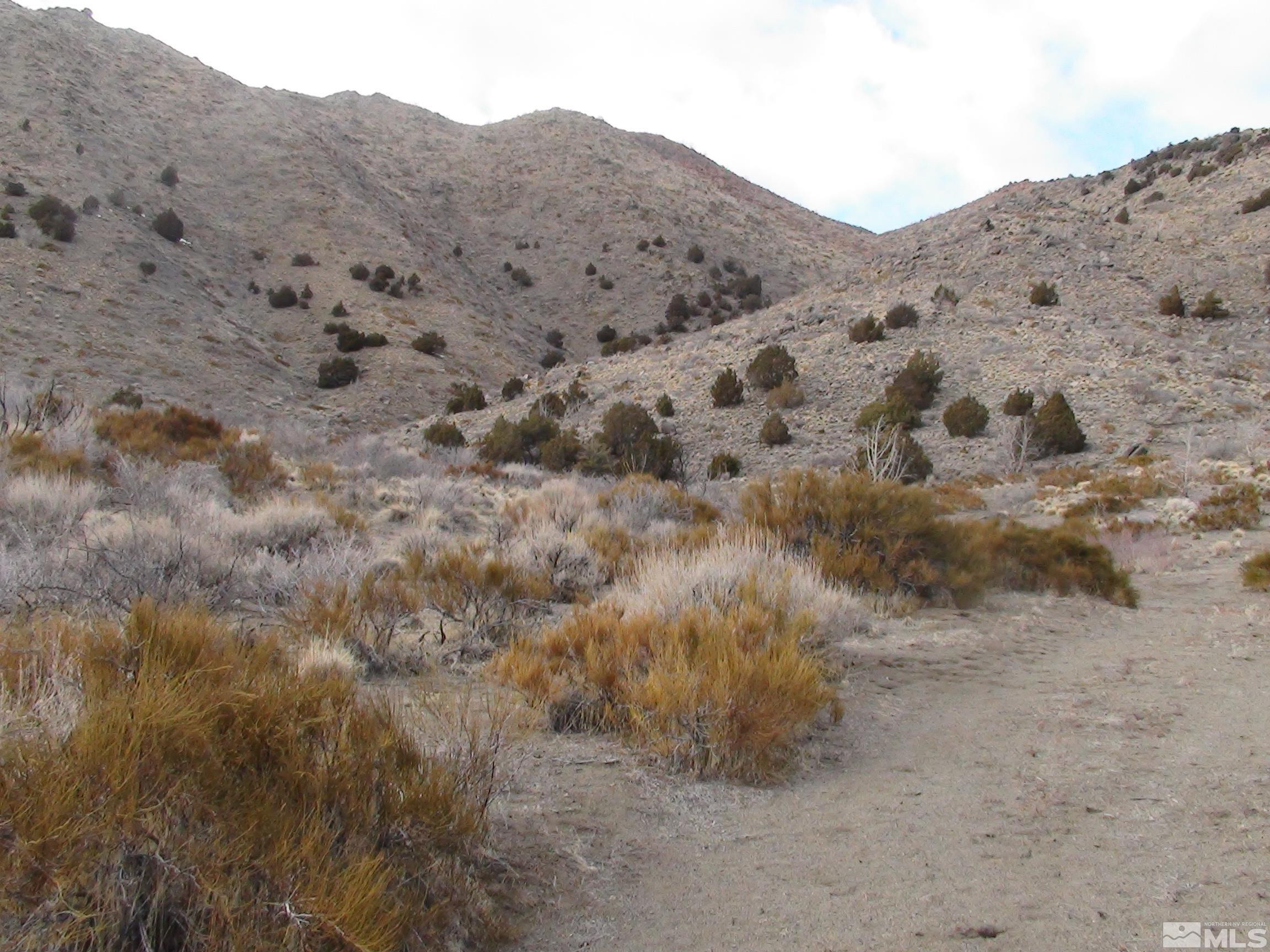 1265 Freds Mountain Road Reno, NV 89508 - Photo 24 of 40 a view of a dry field