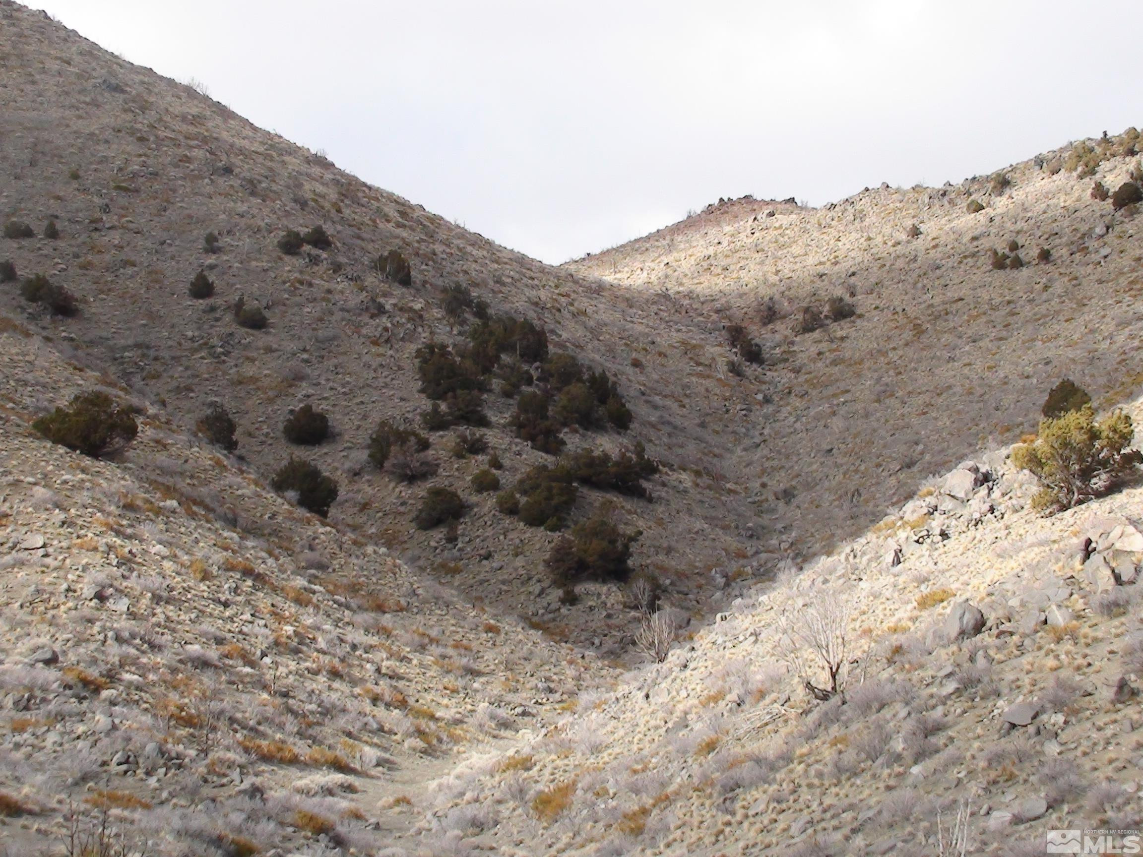 1265 Freds Mountain Road Reno, NV 89508 - Photo 25 of 40 a view of a dry yard with mountains in the background