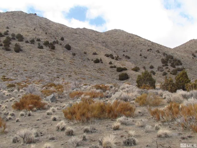 a view of a dry field with mountains in the background