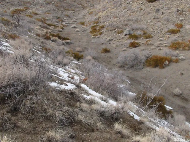 a view of a dry field