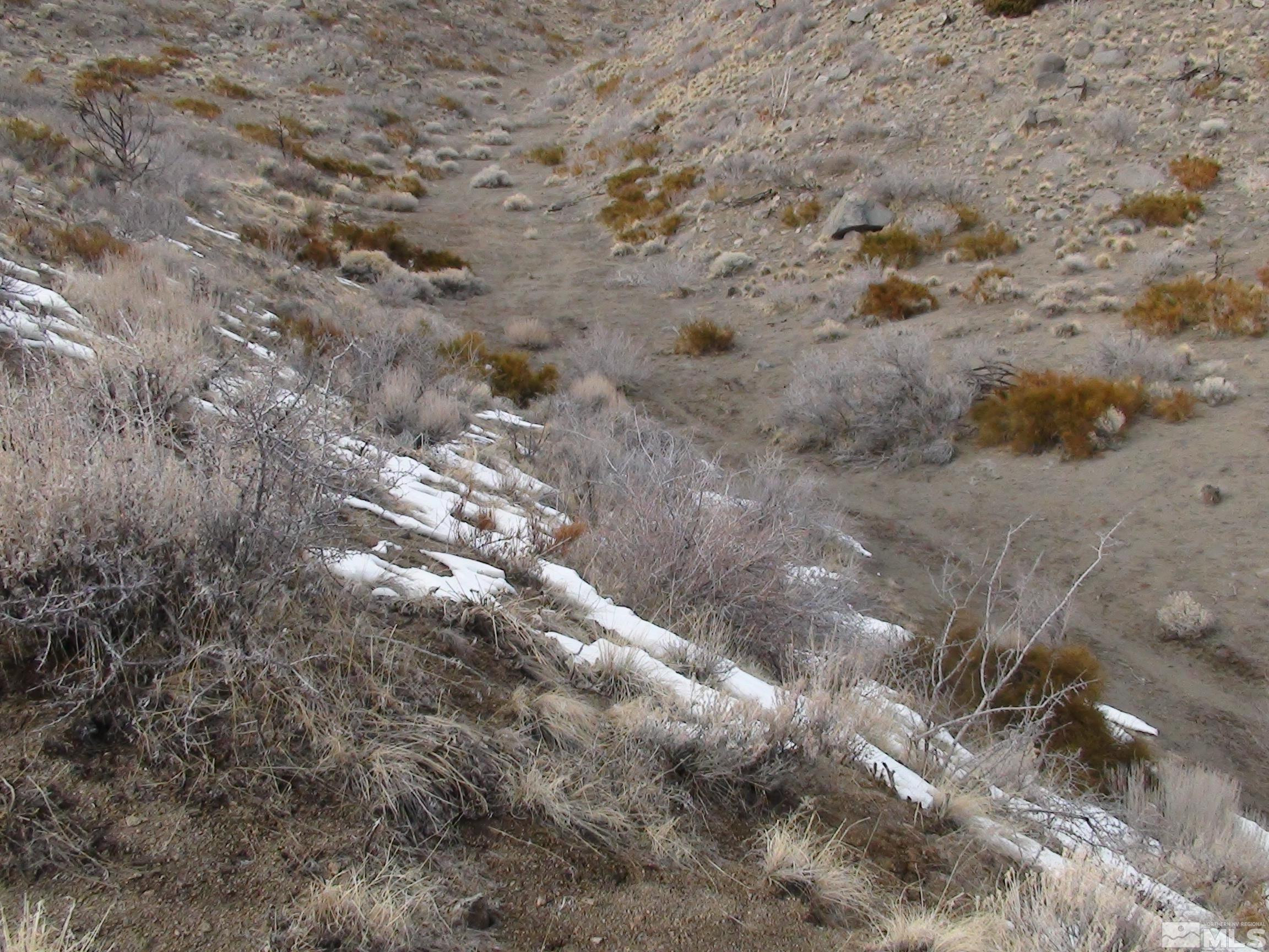 1265 Freds Mountain Road Reno, NV 89508 - Photo 28 of 40 a view of a field