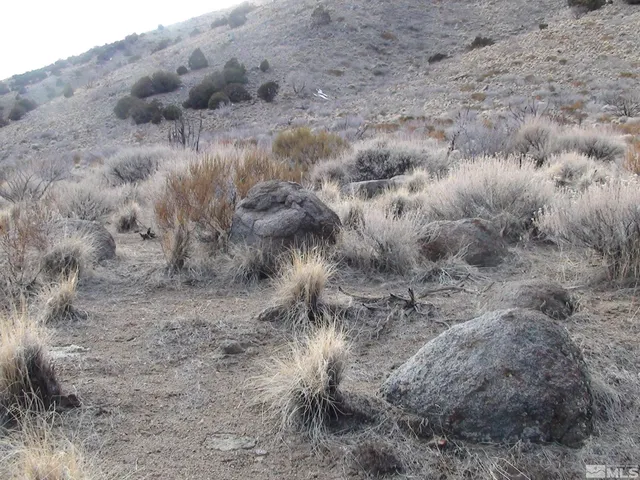 a view of city and mountain