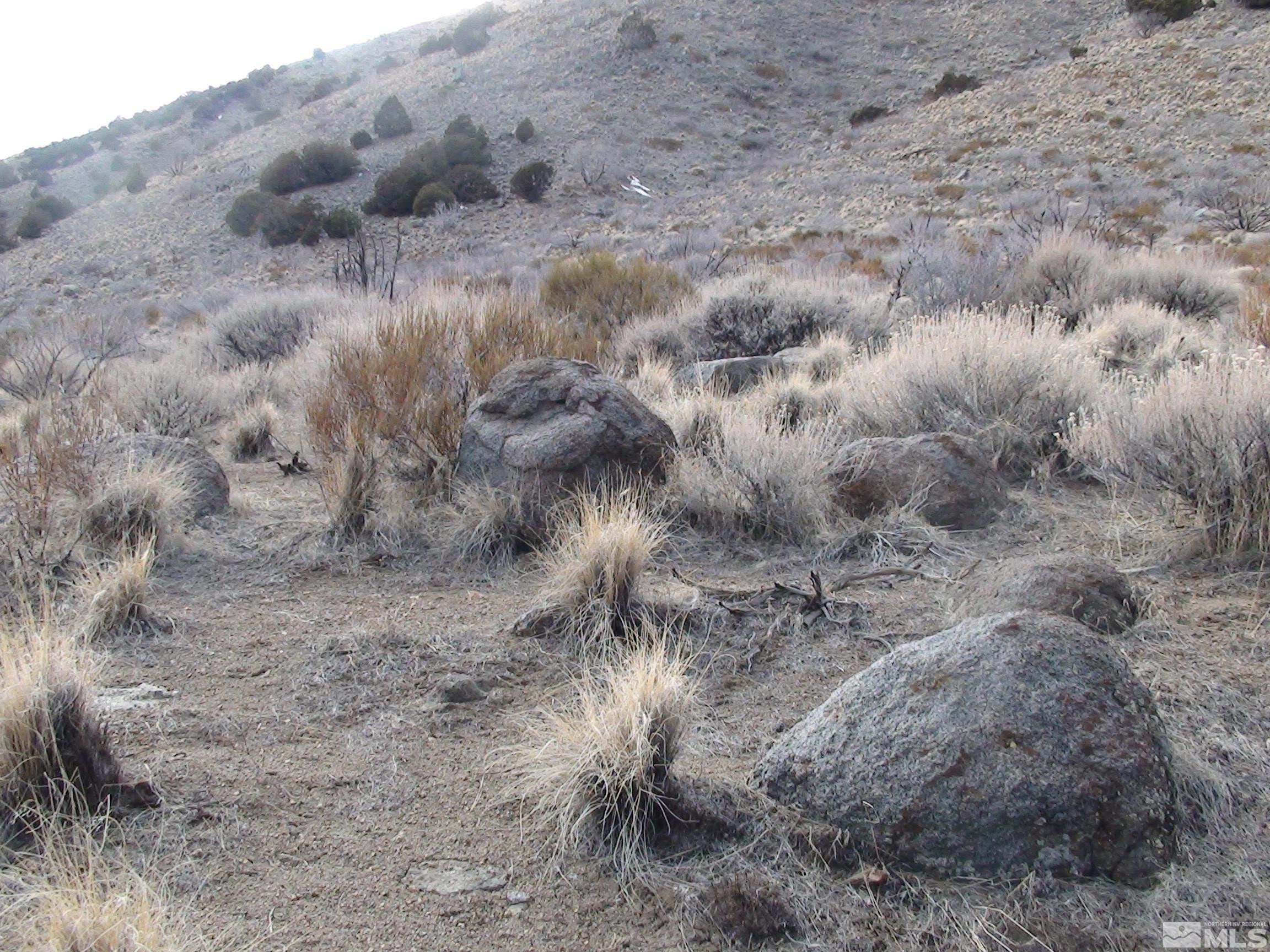 1265 Freds Mountain Road Reno, NV 89508 - Photo 29 of 40 a view of a dry field