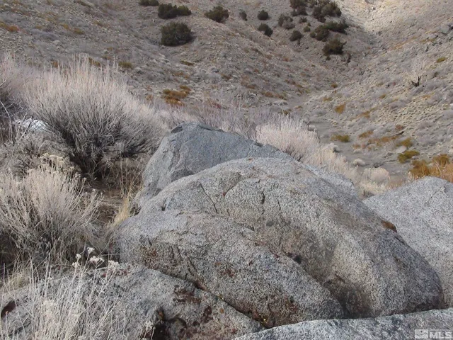 a view of beach and background