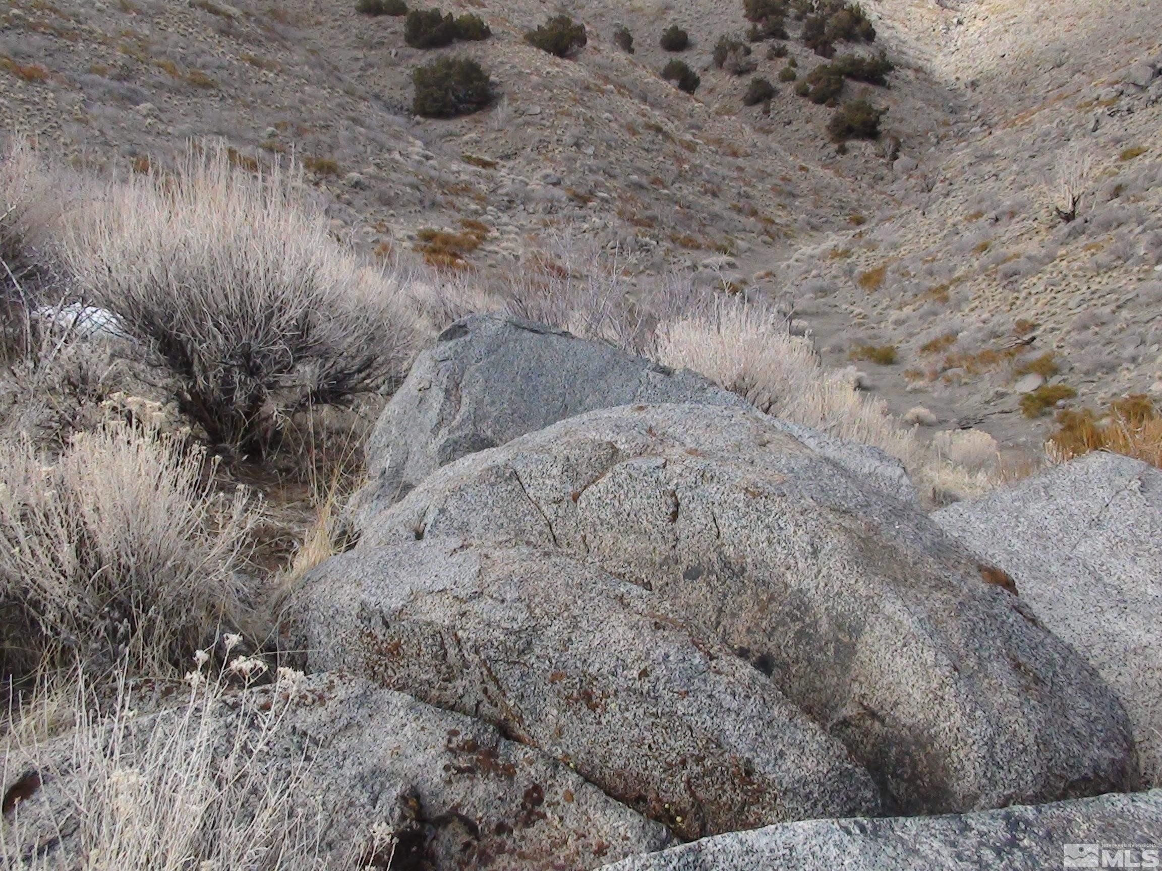 1265 Freds Mountain Road Reno, NV 89508 - Photo 31 of 40 a view of a dry yard