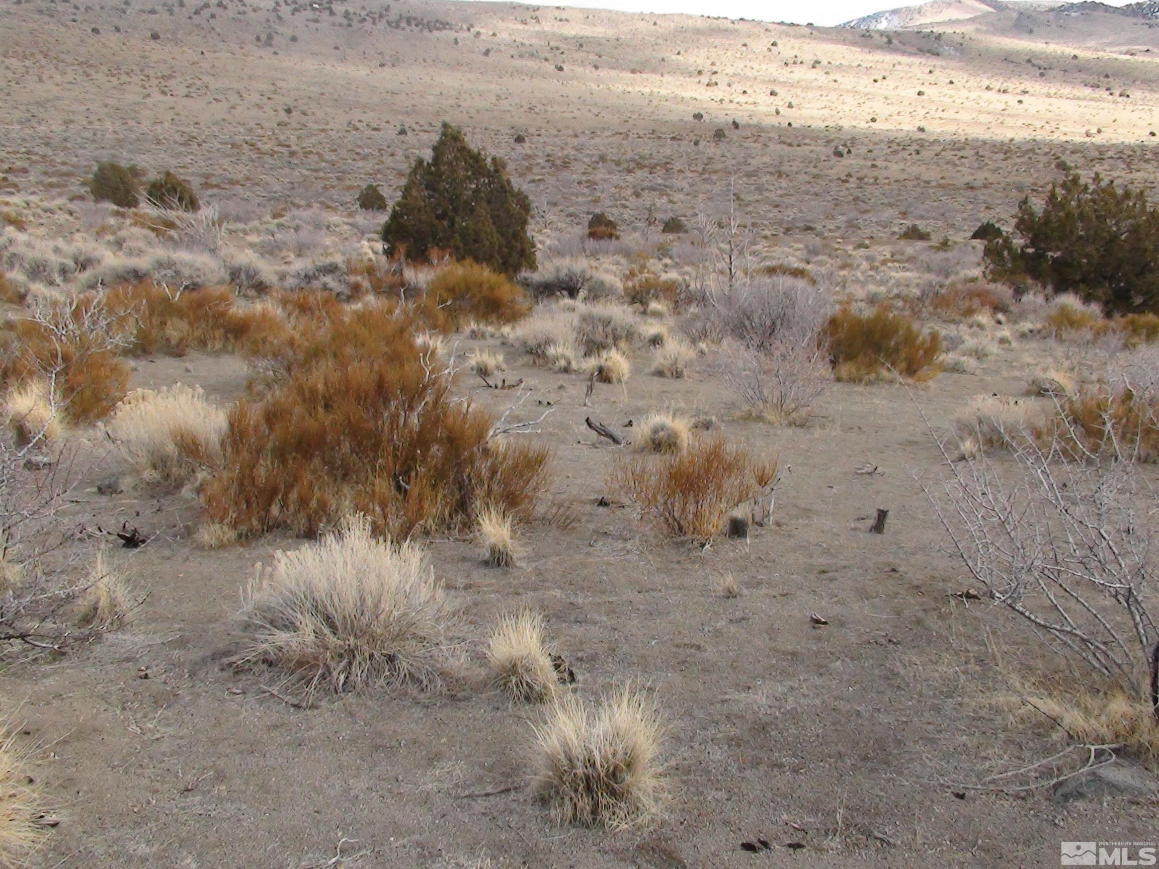 1265 Freds Mountain Road Reno, NV 89508 - Photo 32 of 40 a view of beach and background