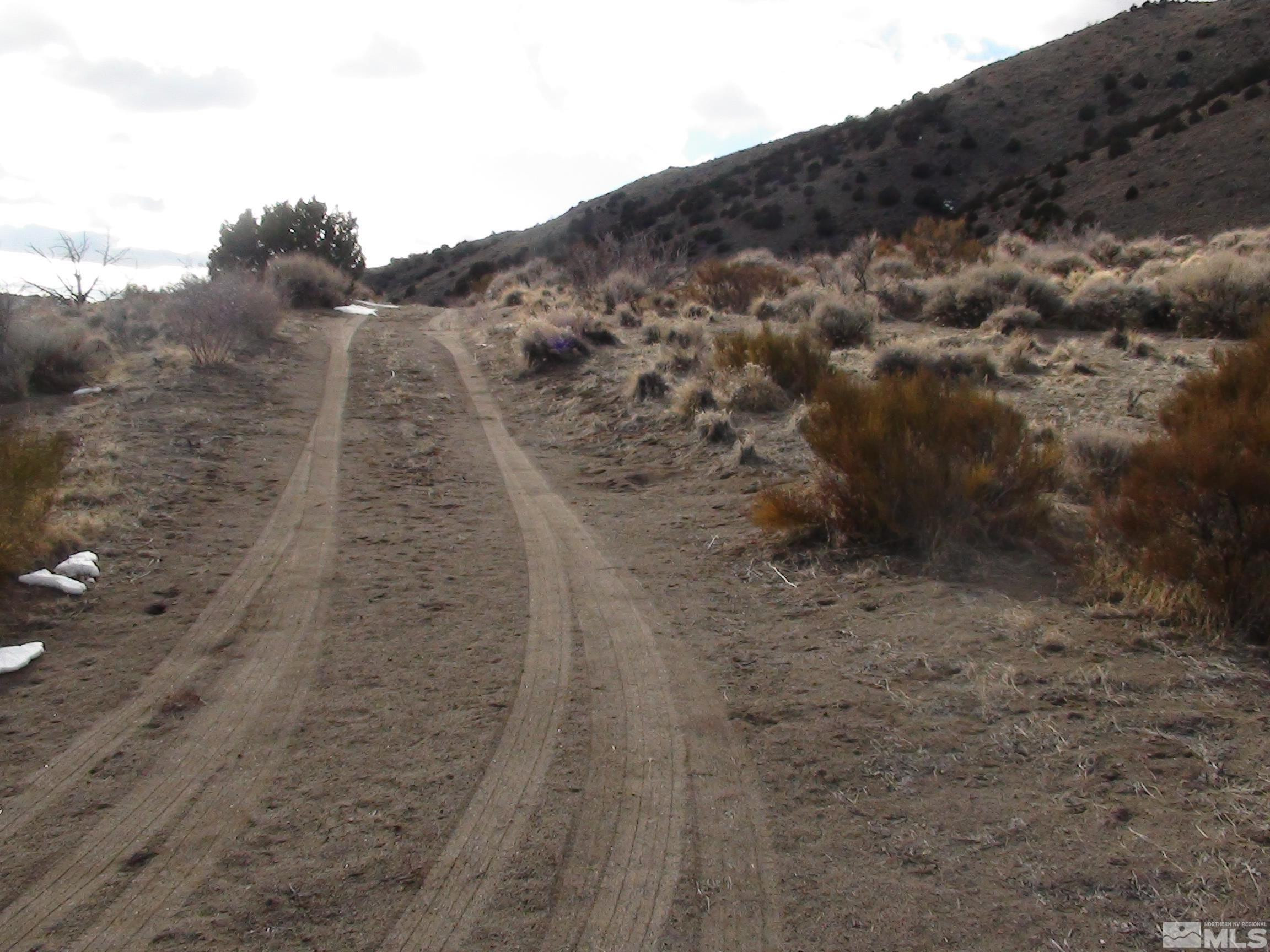 1265 Freds Mountain Road Reno, NV 89508 - Photo 35 of 40 a view of a dry yard