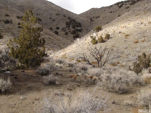 a view of a dry field covered with snow