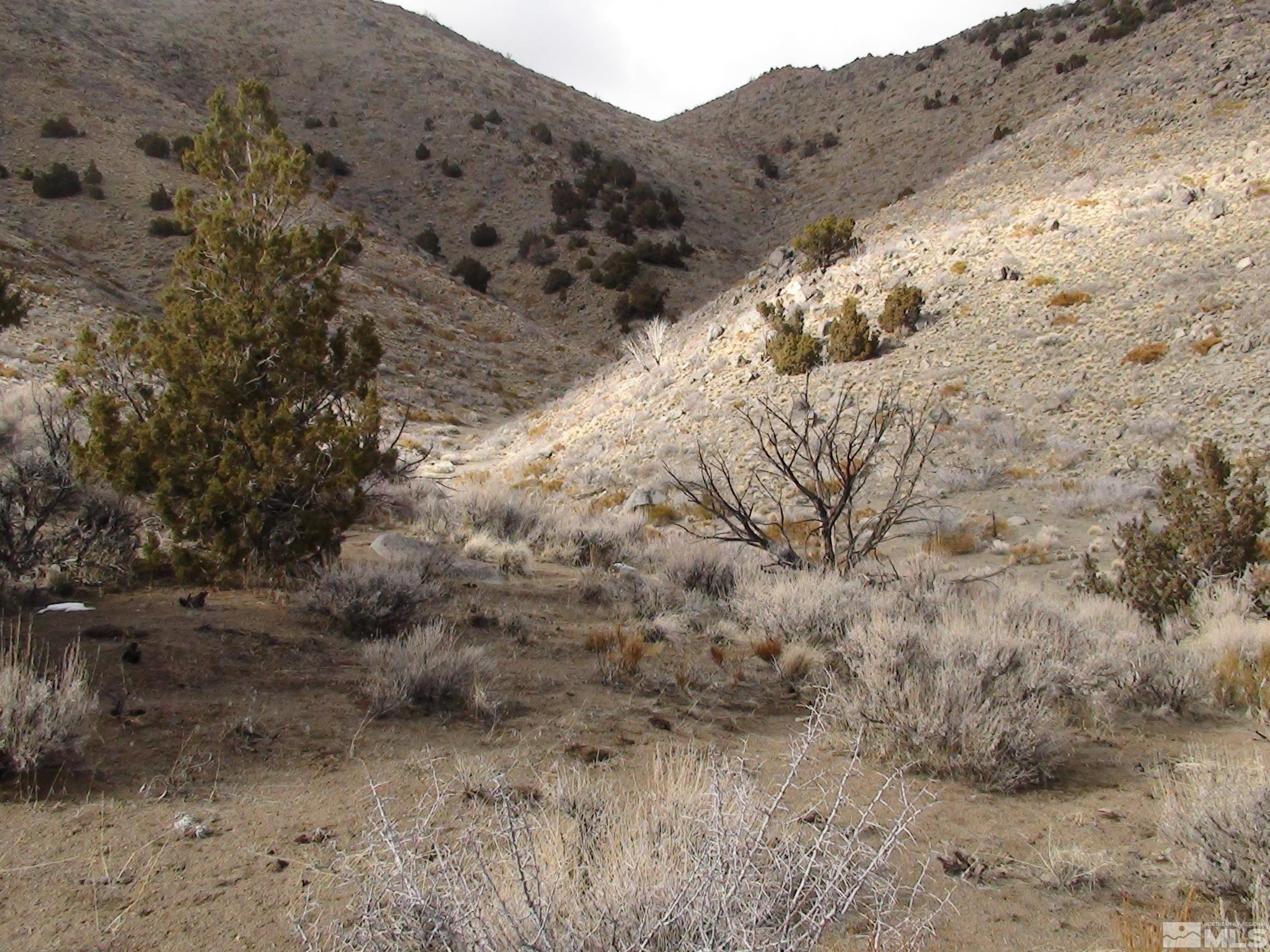 1265 Freds Mountain Road Reno, NV 89508 - Photo 39 of 40 a view of a dry yard with mountains in the background