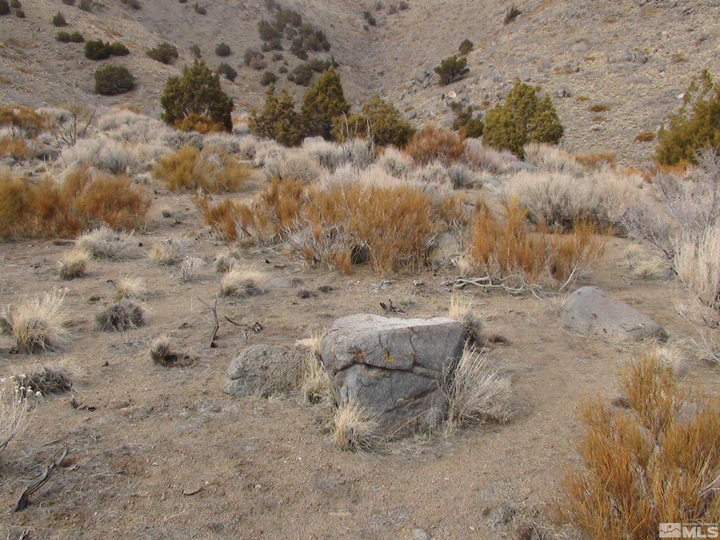 1265 Freds Mountain Road Reno, NV 89508 - Photo 40 of 40 a view of a dry field covered with snow