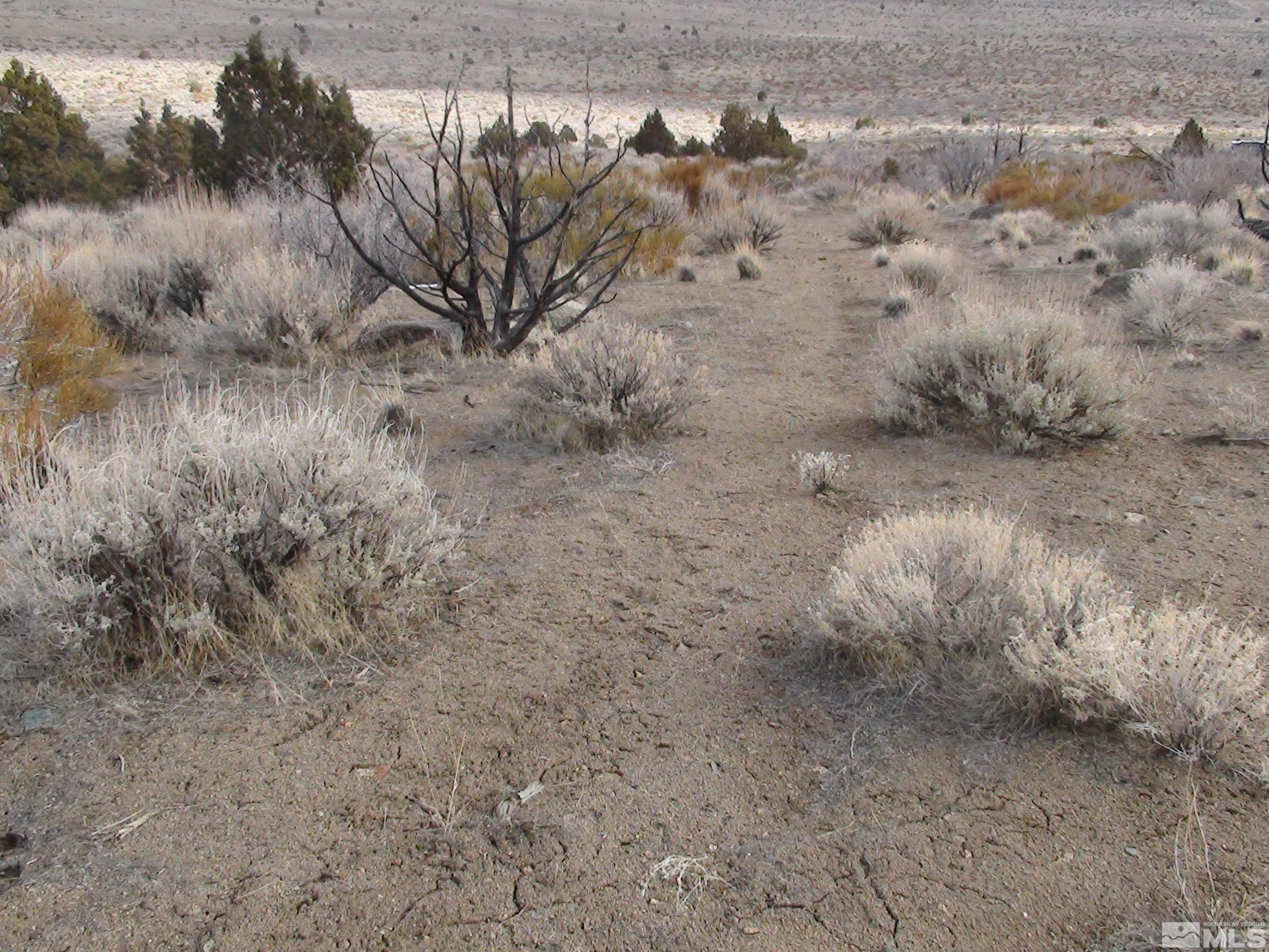 1265 Freds Mountain Road Reno, NV 89508 - Photo 5 of 40 a view of a dry yard