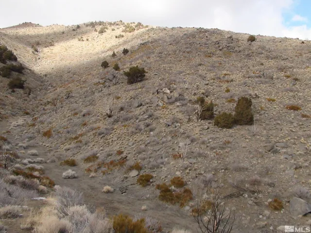 a view of a dry field
