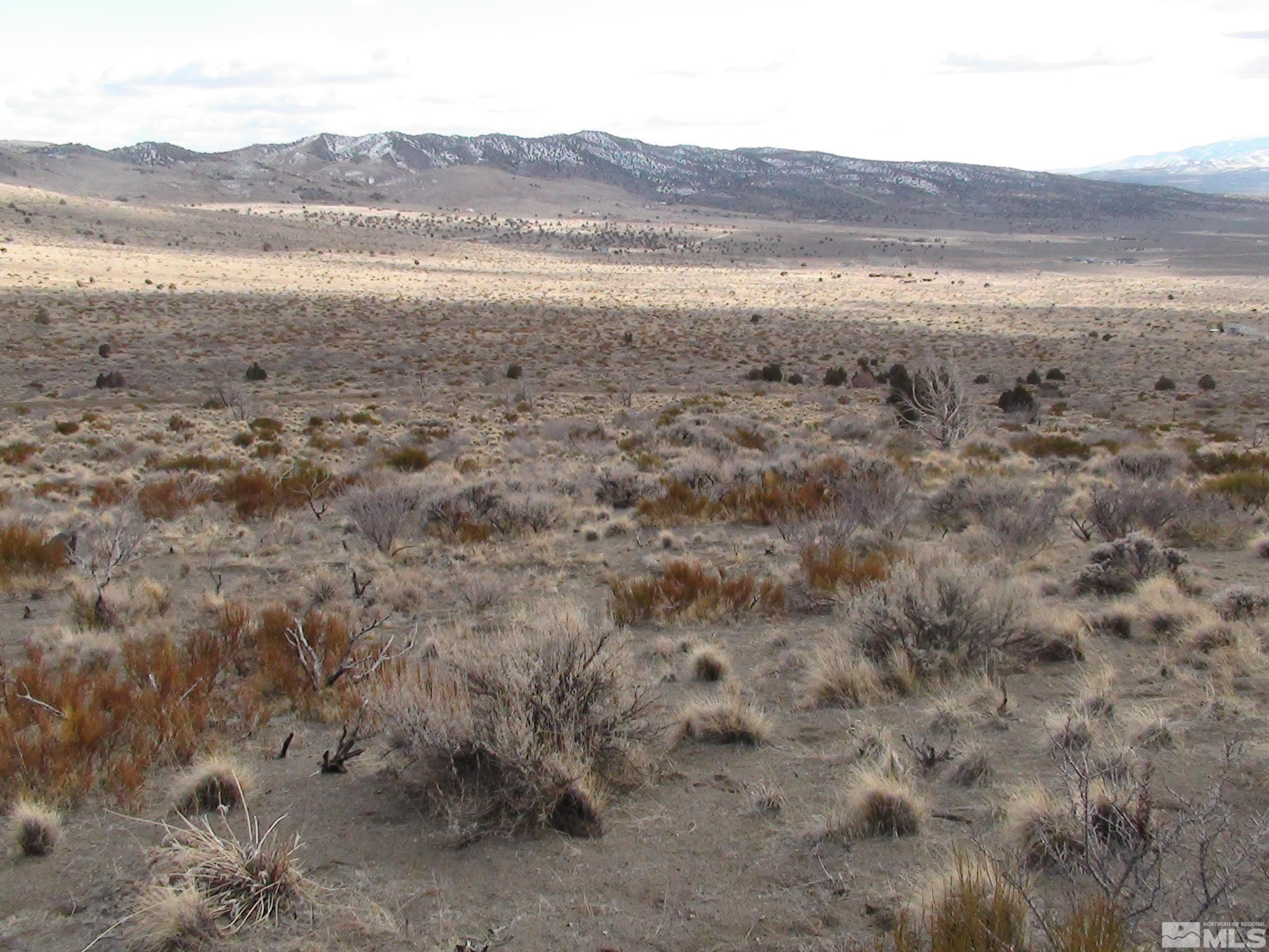 1265 Freds Mountain Road Reno, NV 89508 - Photo 7 of 40 a view of an outdoor space with mountain view