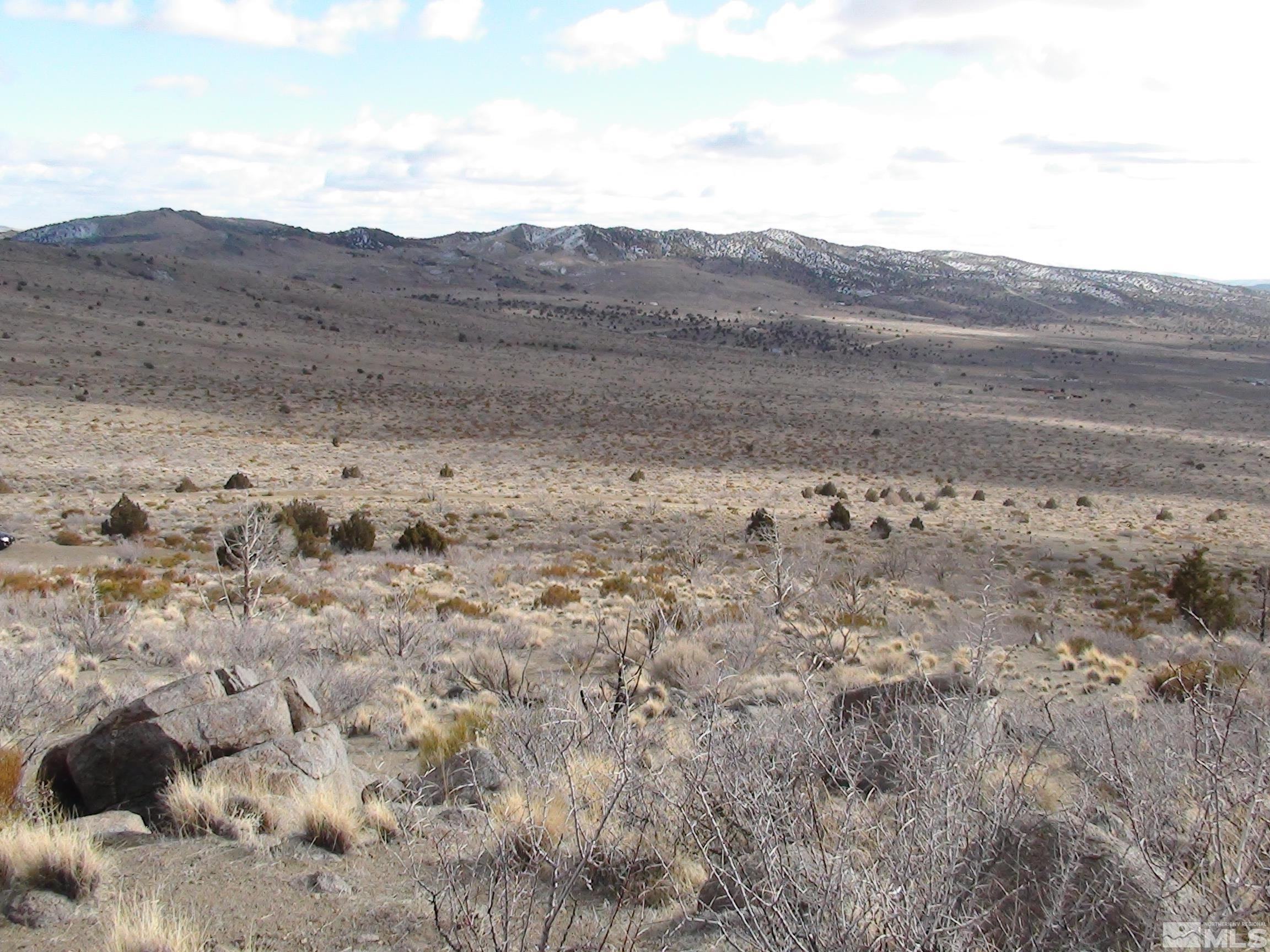1265 Freds Mountain Road Reno, NV 89508 - Photo 8 of 40 a view of a dry field with mountains in the background