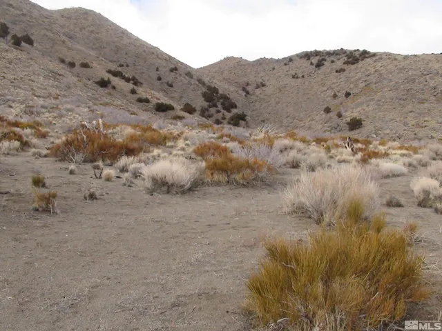 a view of a dry field