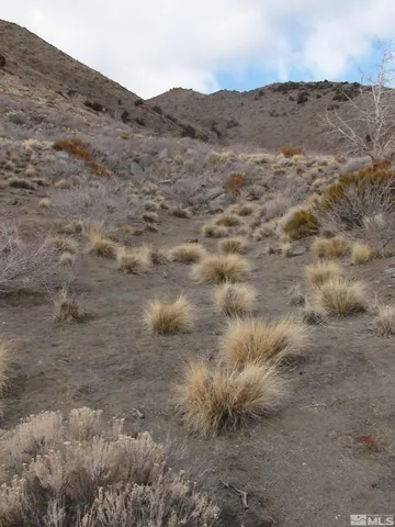 a view of a dry field