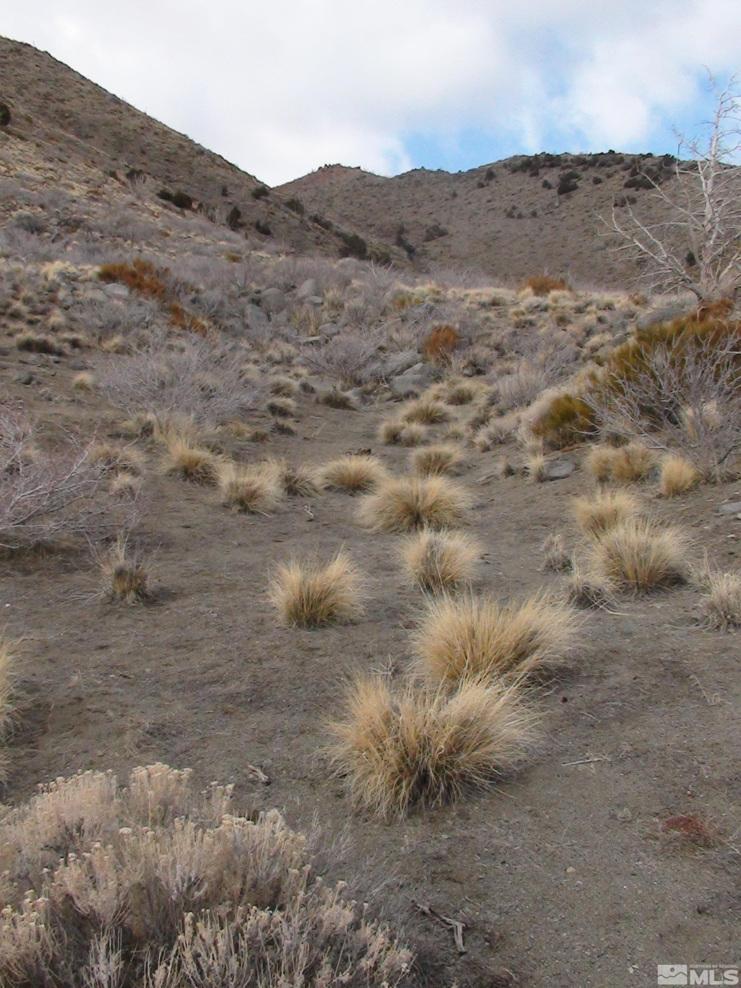 1265 Freds Mountain Road Reno, NV 89508 - Photo 10 of 40 a view of a dry field
