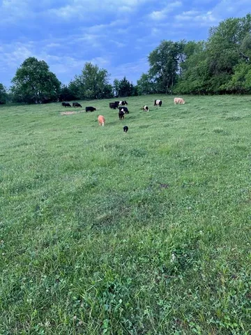 $330,000 | Northwest Plotsky Road Avenue, Plattsburg, MO 64477