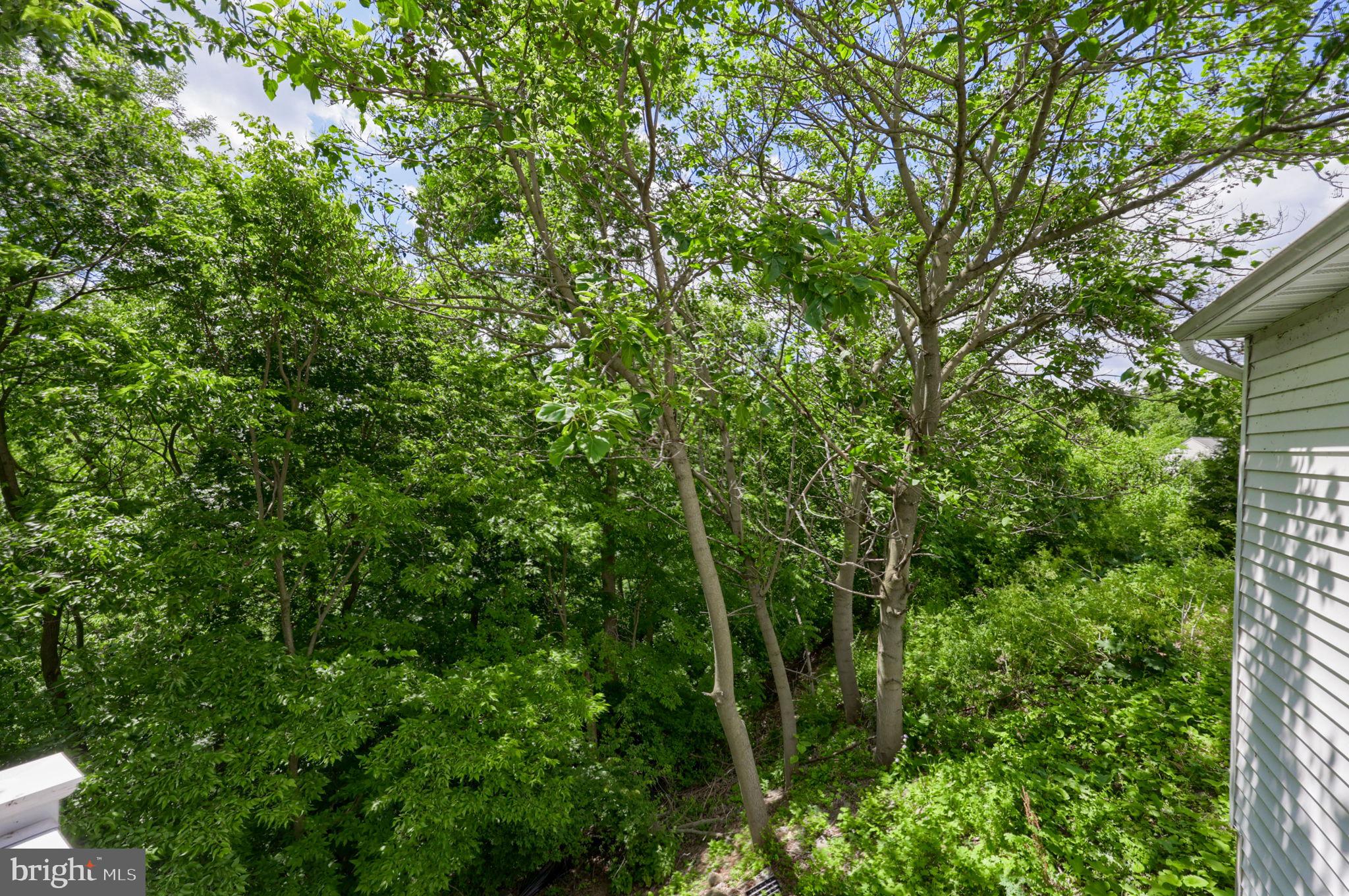 136 Conestoga Woods Road Lancaster, PA 17602 - Photo 46 of 51