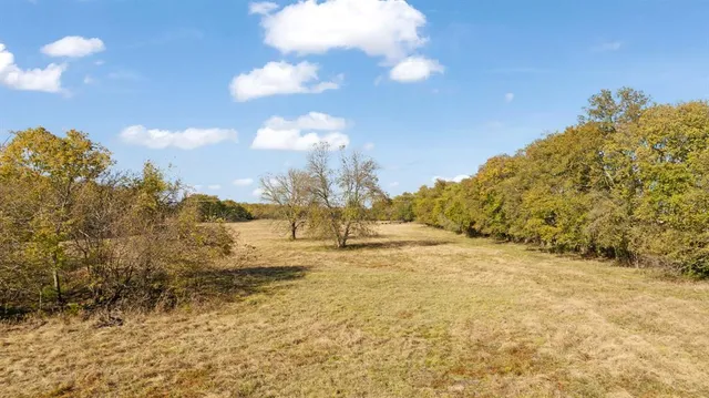 $650,000 | 0 Cr 36010 Honey Grove, Honey Grove, TX 75446