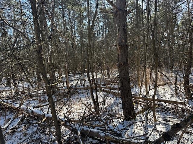 0 North 31 Road Manton, MI 49663 - Photo 11 of 13