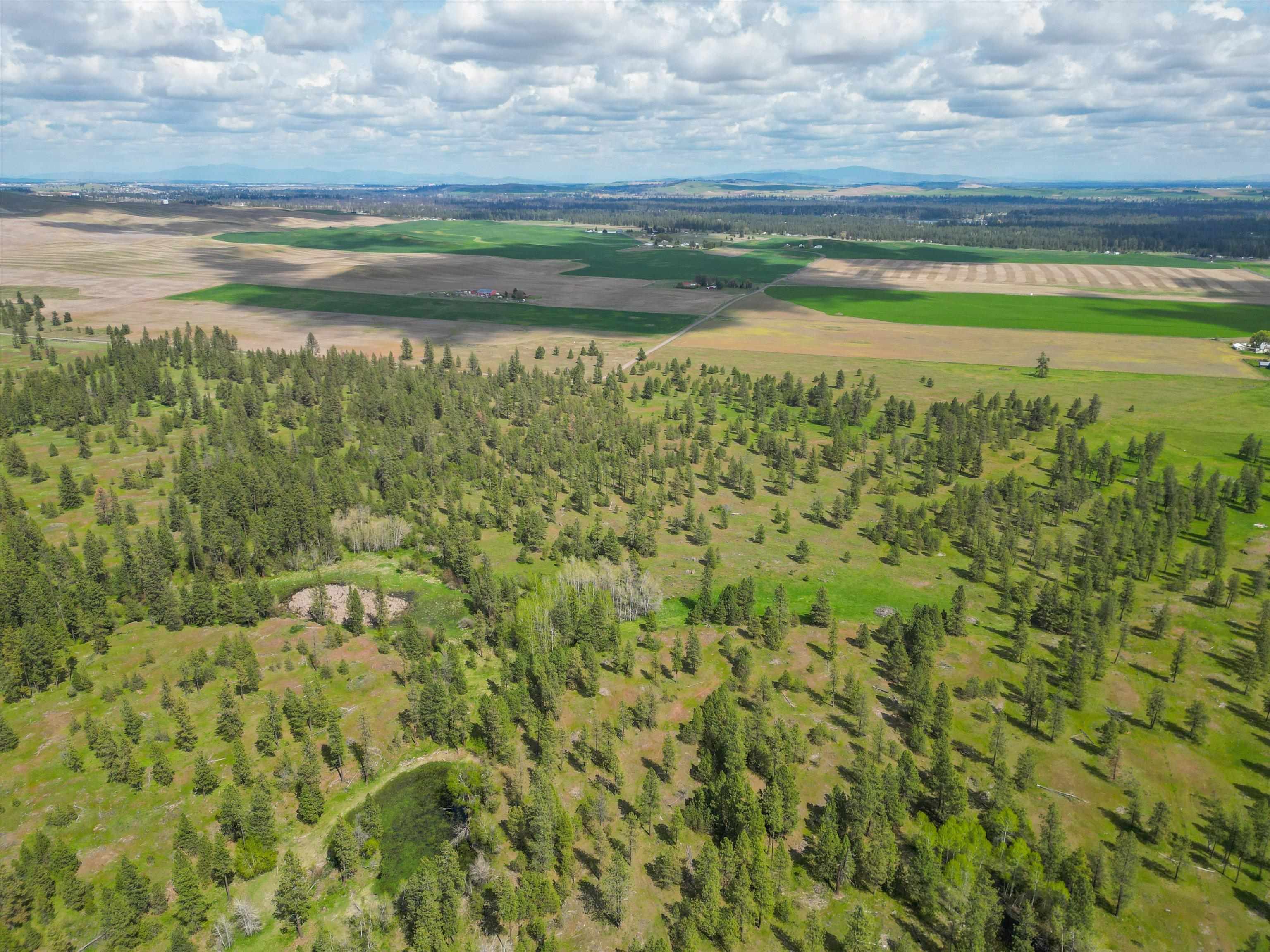 Nka South Malloy Prairie Road, Unit PARCEL B 03032 9049 Cheney, WA 99004 - Photo 7 of 8
