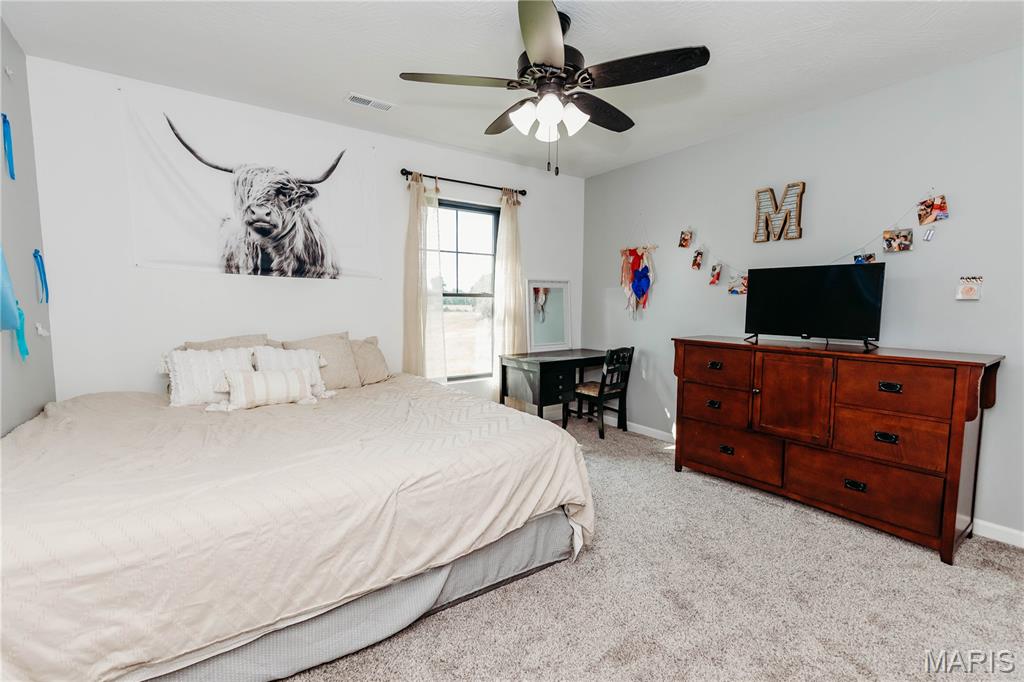 14946 Colorado Road Dixon, MO 65459 - Photo 47 of 95